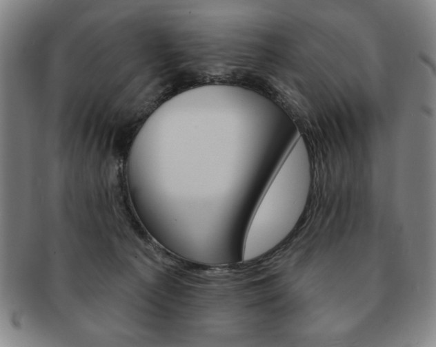 X0000091640225200708230955