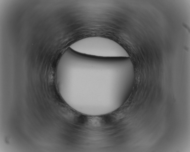 X0000091640226200708230955