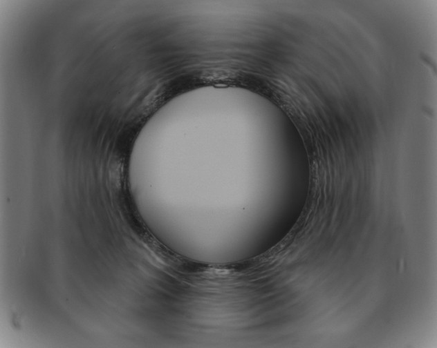 X0000091640227200708230955