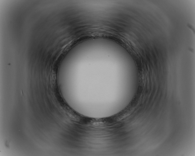 X0000091640228200708230955