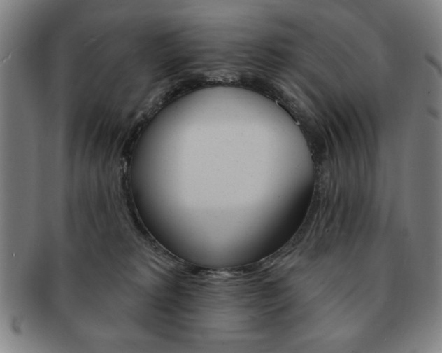 X0000091640229200708230955