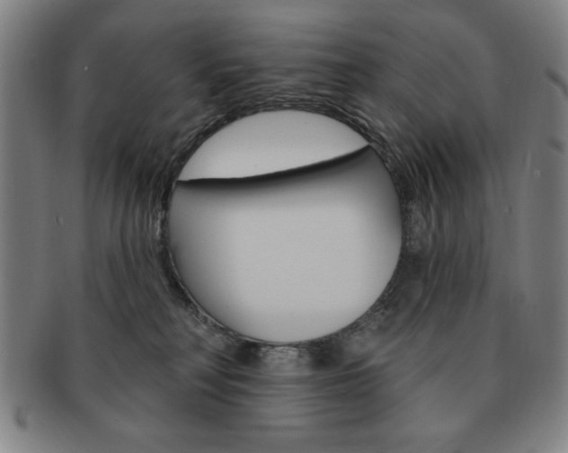 X0000091640230200708230955