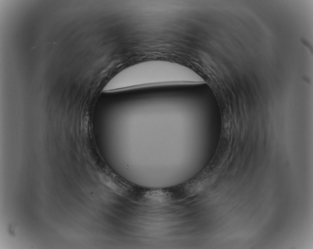 X0000091640231200708230955