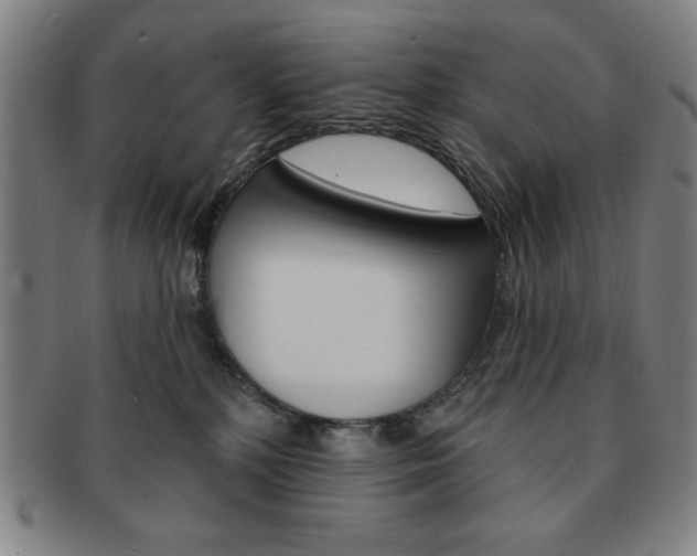 X0000091640232200708230955