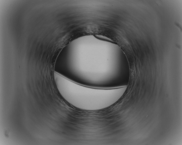 X0000091640233200708230955