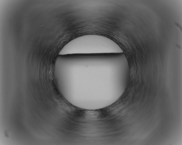 X0000091640234200708230955