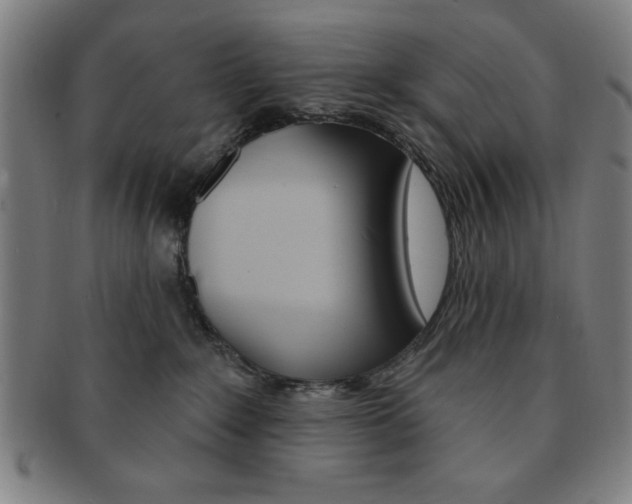 X0000091640235200708230955