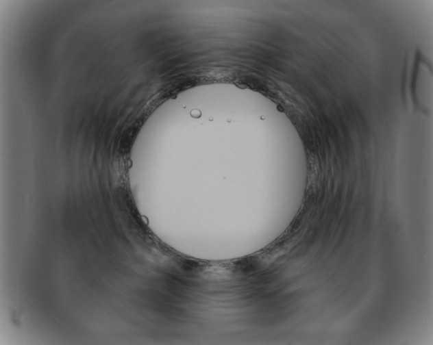 X0000091640236200708230955