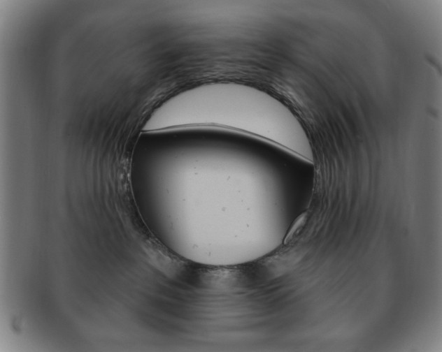 X0000091640237200708230955