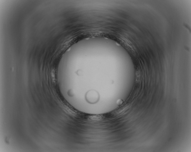 X0000091640238200708230955