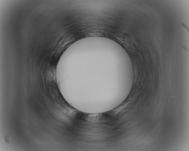 X0000091640240200708230955