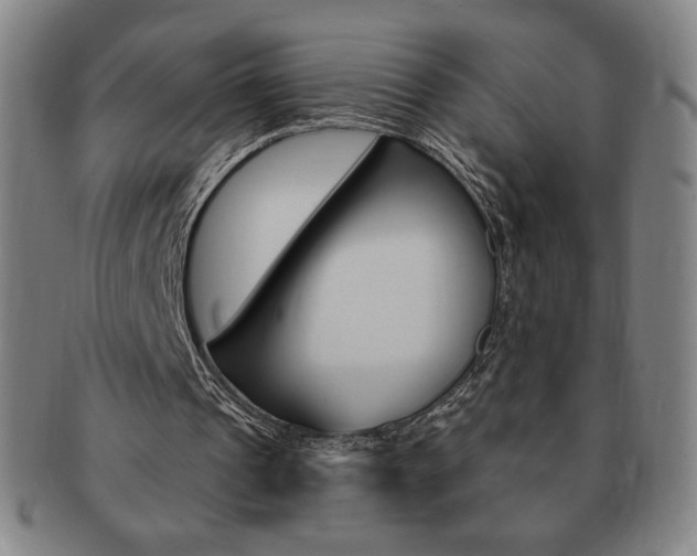 X0000091640241200708230954
