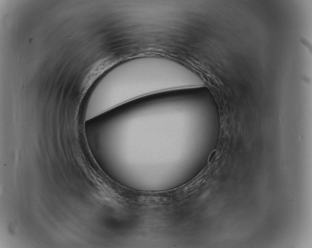 X0000091640242200708230954
