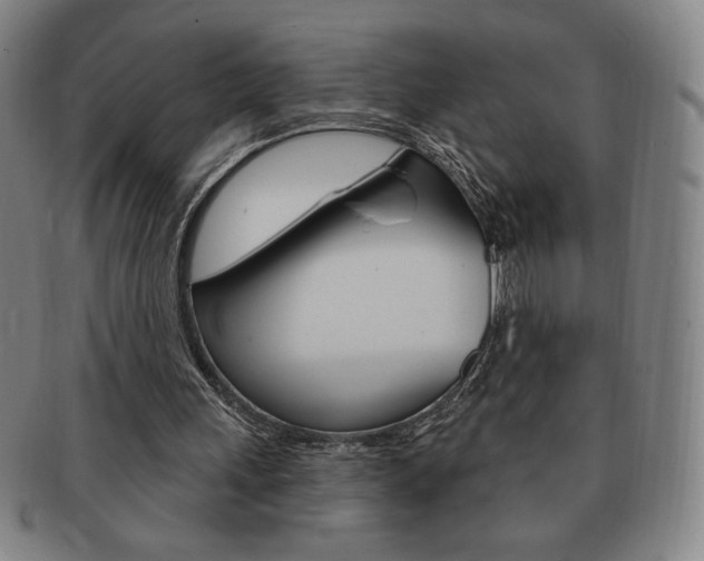 X0000091640243200708230954