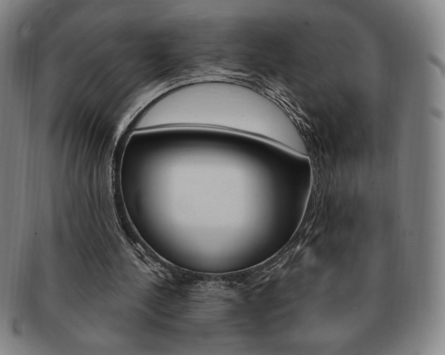 X0000091640244200708230954
