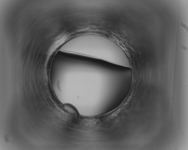X0000091640245200708230954