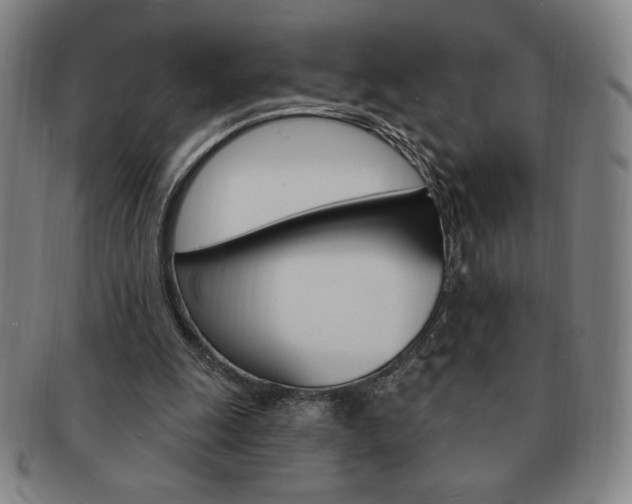 X0000091640247200708230954