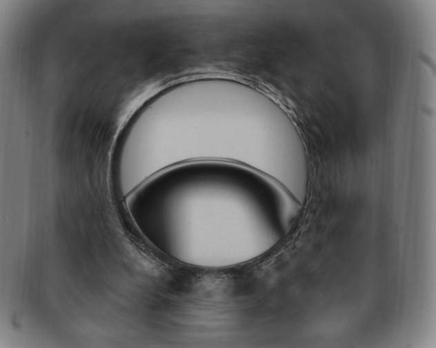 X0000091640248200708230954