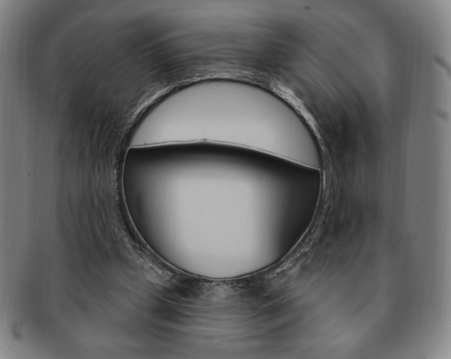 X0000091640249200708230955