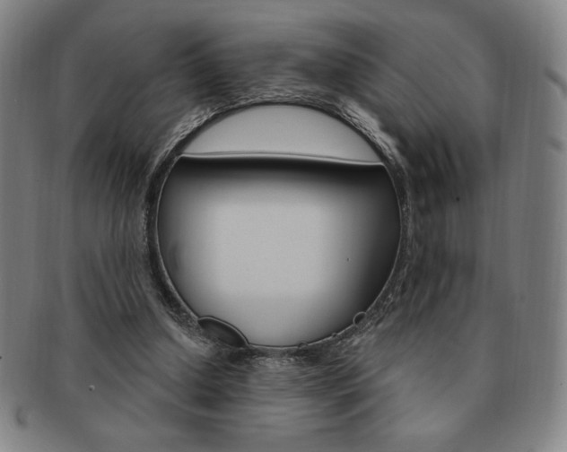 X0000091640250200708230955