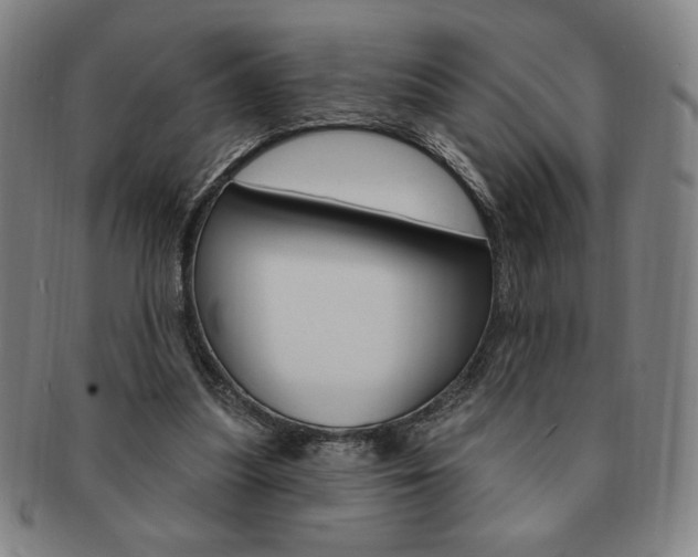 X0000091640251200708230955
