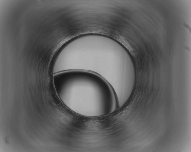 X0000091640252200708230955