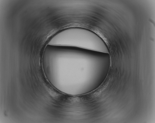 X0000091640253200708230955