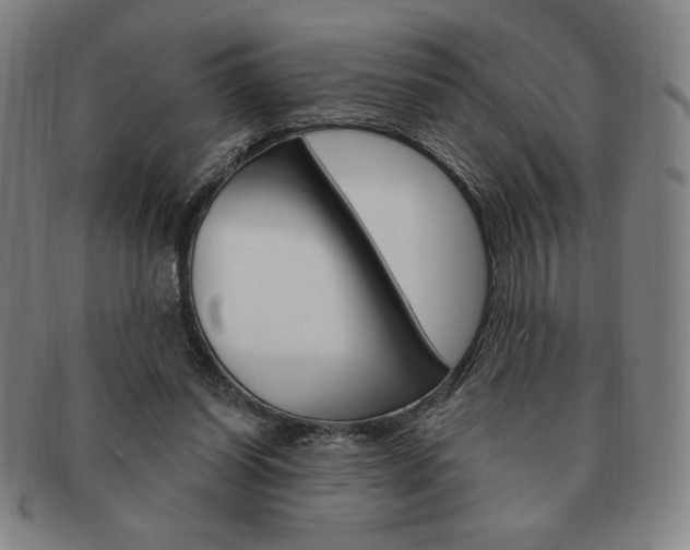 X0000091640254200708230955