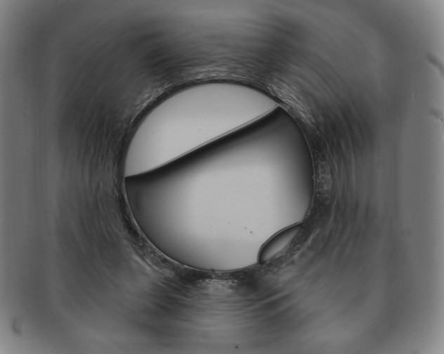 X0000091640255200708230955