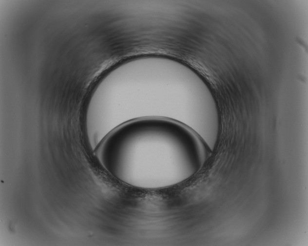 X0000091640256200708230955