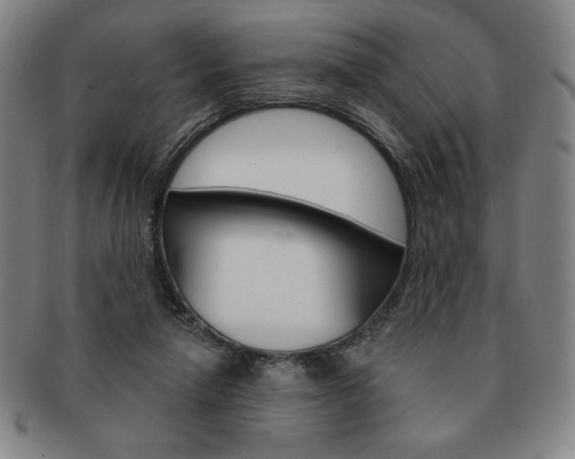 X0000091640258200708230955