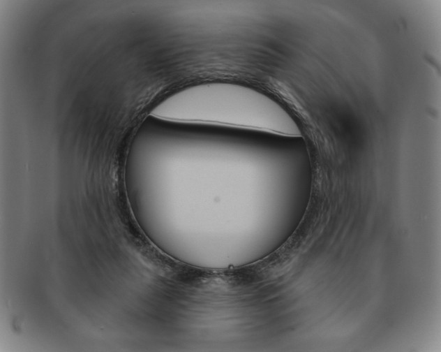 X0000091640259200708230955