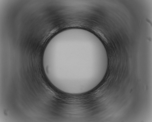 X0000091640260200708230955