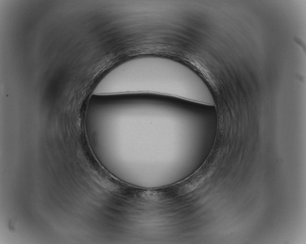 X0000091640261200708230955