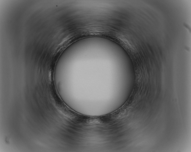 X0000091640262200708230955