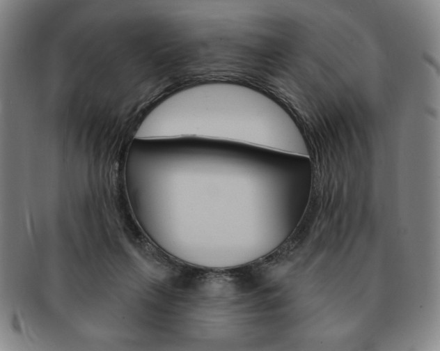 X0000091640263200708230955