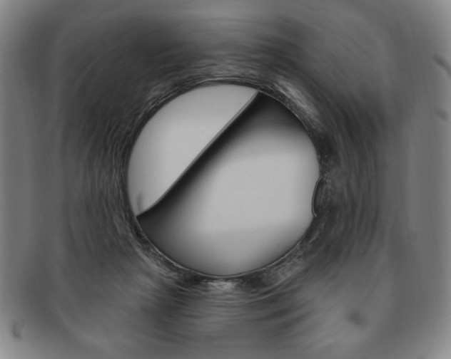 X0000091640265200708230955