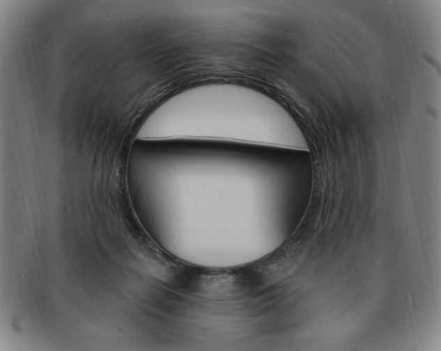 X0000091640266200708230955
