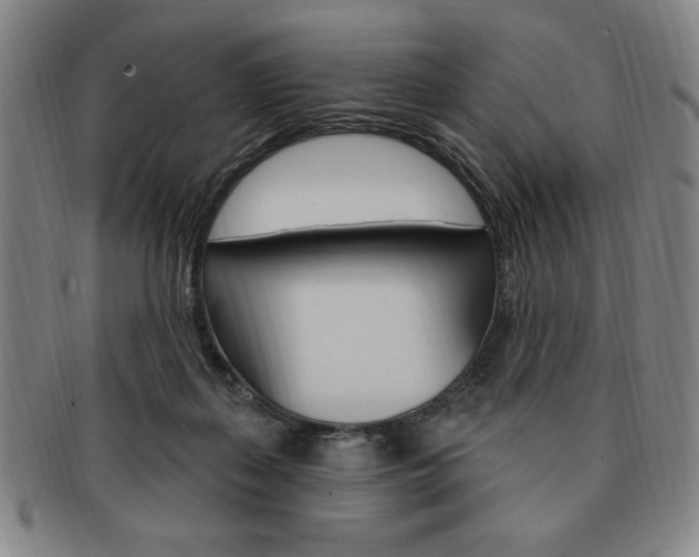 X0000091640267200708230955
