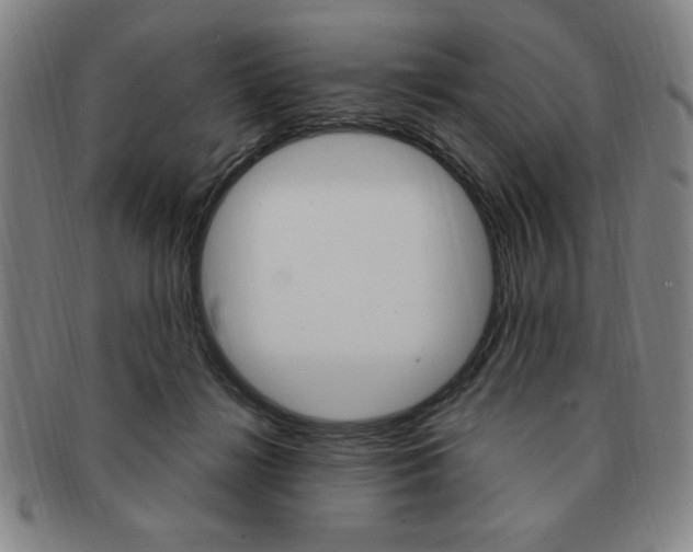 X0000091640268200708230955