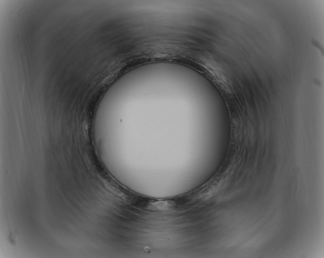 X0000091640269200708230955