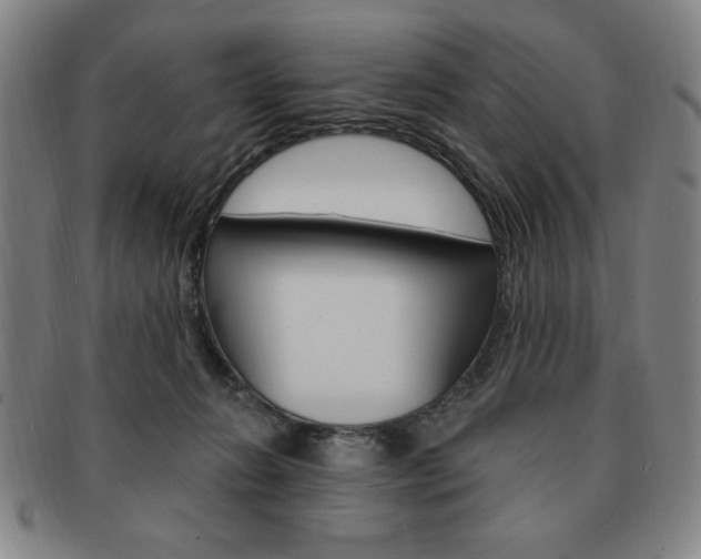 X0000091640270200708230955