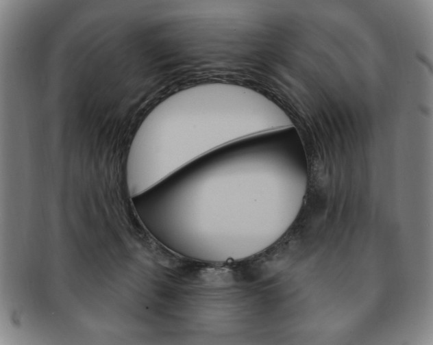 X0000091640271200708230955