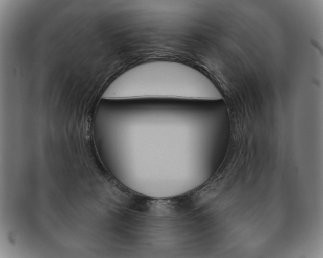 X0000091640273200708230955