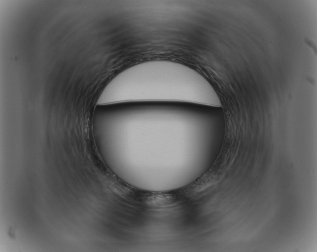 X0000091640274200708230955