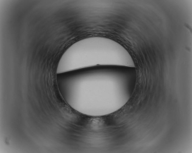 X0000091640275200708230955