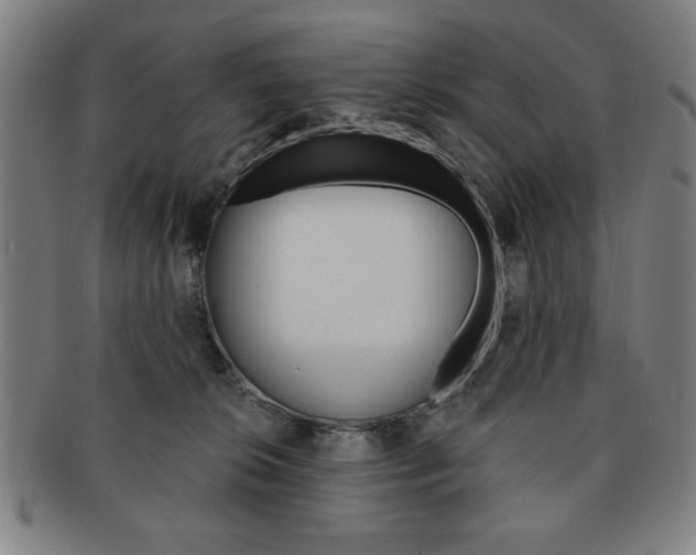 X0000091640276200708230955
