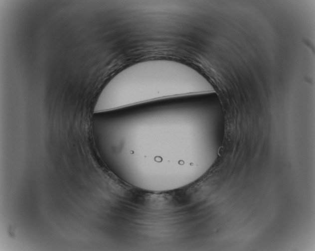 X0000091640277200708230955