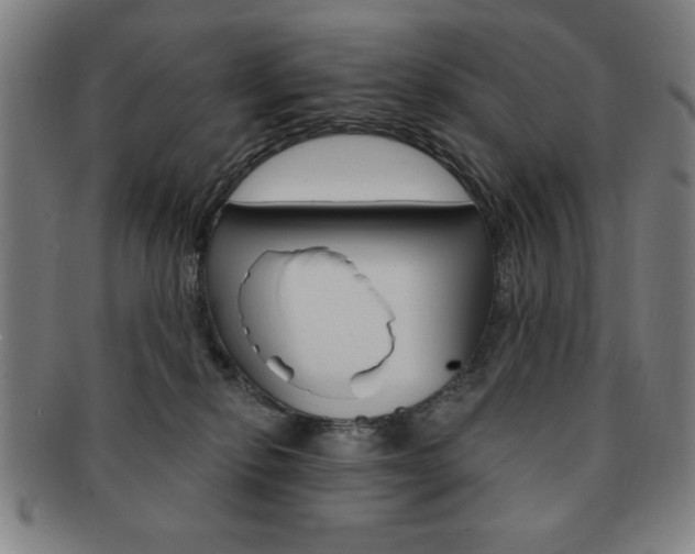 X0000091640278200708230955