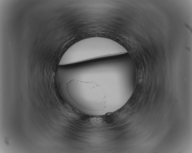 X0000091640279200708230955